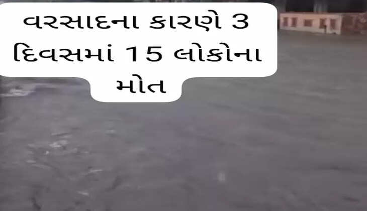 રિપોર્ટ@ગુજરાત: રાજ્યમાં ભારે વરસાદને કારણે 3 દિવસમાં 15 લોકોનાં મોત નીપજ્યા