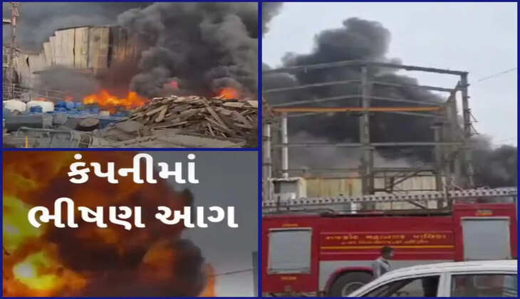 અટલ સમાચાર ડોટ કોમ, ડેસ્ક