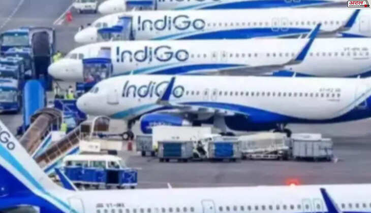 ઇન્ડેઇગો