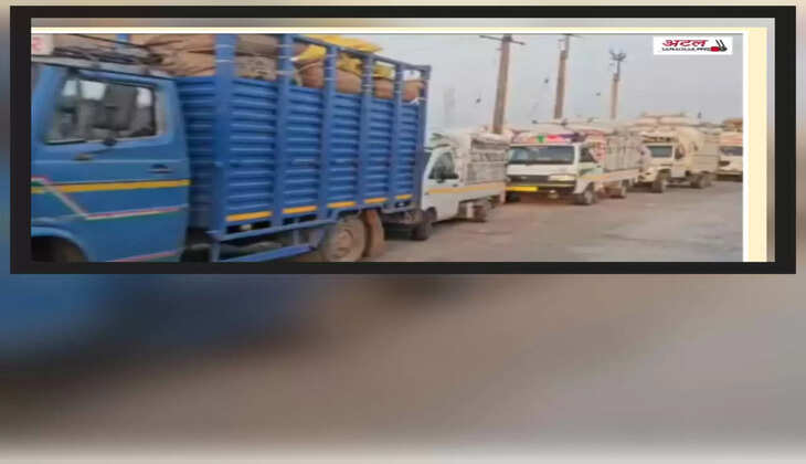 રિપોર્ટ@જામનગર: મગફળી અને કપાસના સારા ભાવ મળતા ખેડૂતોની દિવાળી સુધરી