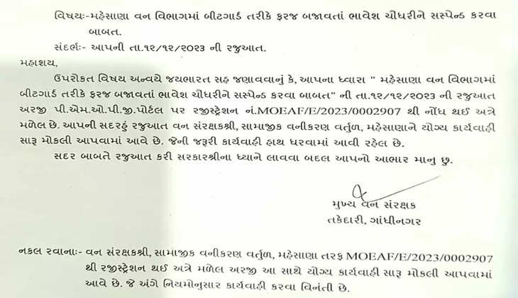 ગંભીર@મહેસાણા: વનપાલ વિરૂદ્ધ ટેન્ડર મામલે તપાસનો મામલો, વિજીલન્સે ફરી સીએફને લખ્યો પત્ર