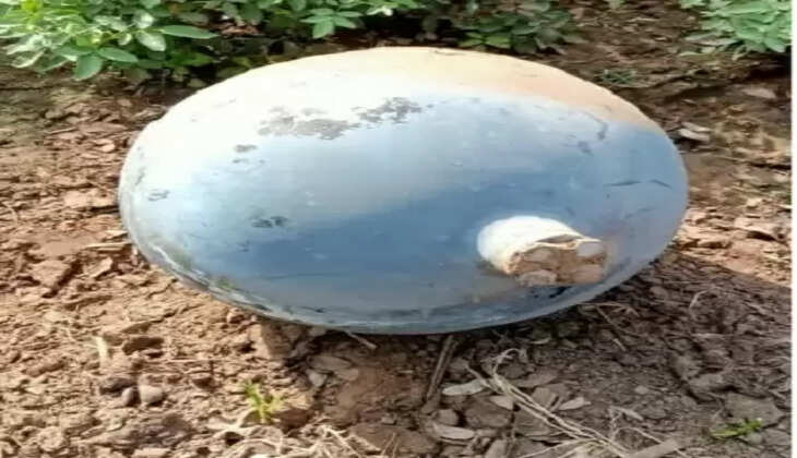 ગોરો