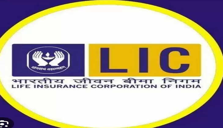 વેપાર@દેશ: LICને એક જ દિવસમાં કરોડો રૂપિયાનું નુકસાન, અદાણી ગ્રુપના શેરમાં ઘટાડાની અસર