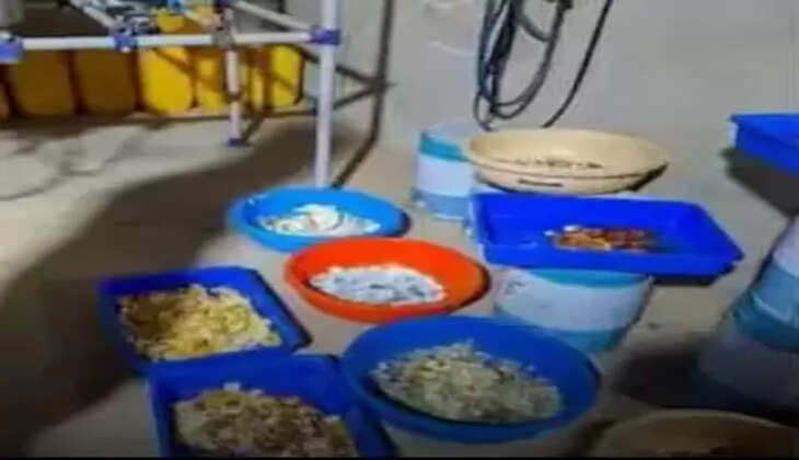 ડ્રગ્સ