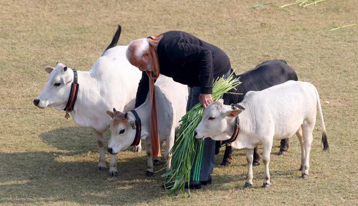 અટલ સમાચાર ડોટ કોમ, ડેસ્ક 