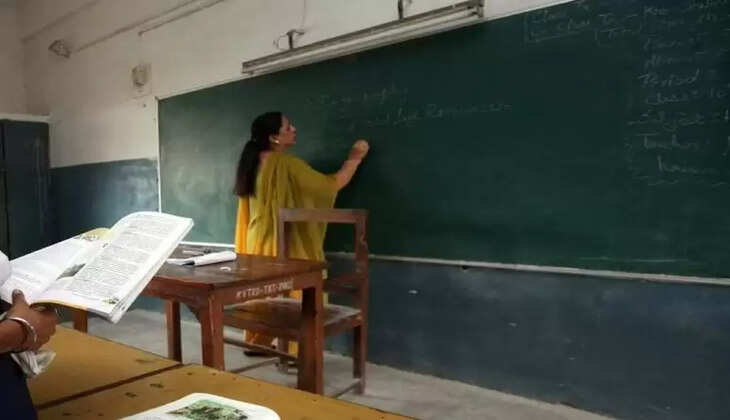 Teacher 