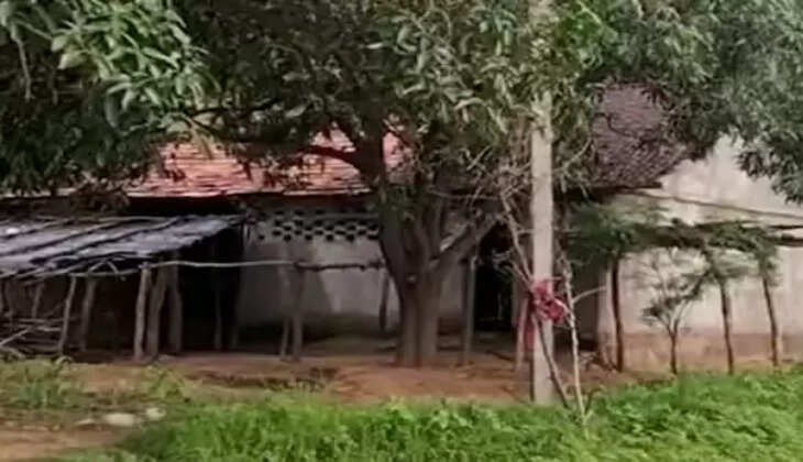 ઘર