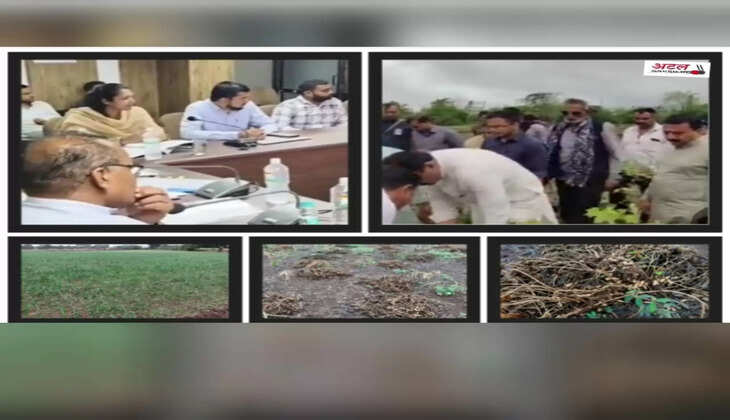 રિપોર્ટ@ગુજરાત: આવતીકાલે કેબિનેટ બેઠક બાદ ખેડૂતો માટે સહાયની જાહેરાત કરાશે