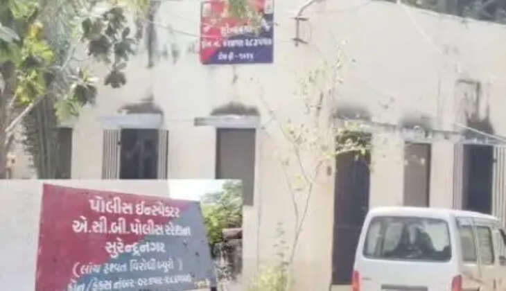 કાર્યવાહી