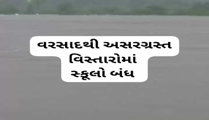 આદેશ@વડોદરા: જિલ્લા શિક્ષણ અધિકારીએ અસરગ્રસ્ત વિસ્તારોમાં સ્કૂલો બંધ રાખવા આદેશ આપ્યો