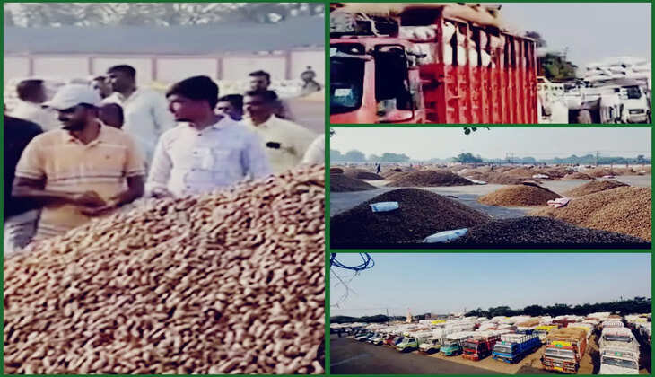 રિપોર્ટ@રાજકોટ: આજે બેડી માર્કેટિંગ યાર્ડ ખાતે મુહૂર્ત, મગફળીની 1 લાખ ગુણીની આવક