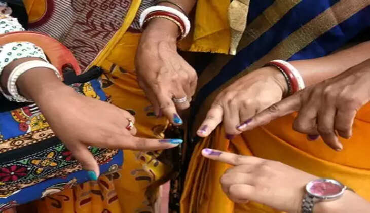 વિટિંગ